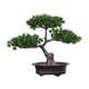 thumbnail image 1 of Árbol bonsái artificial en maceta, decoración de plantas, duradero, realista, multifuncional. Estilo A, 1 of 9