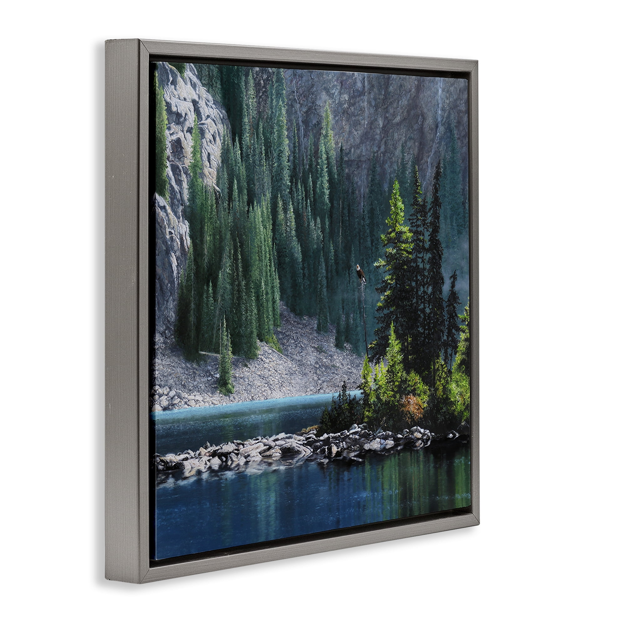 Stupell Industries Tree Spires in Nature Landscape & Nature Photography Gray Floater Framed Canvas Art Print Wall Art, 25 x 25