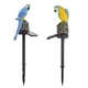 thumbnail image 5 of Xihbxyly Lámpara Solar de Jardín con Forma de Loro, Led Solar, Artesanía de Resina Pintada a Mano, Decoración de Exterior de Bajo Consumo, Impresionante Detalle para Jardín, Luz Blanca Cálida, Tamaño, 5 of 7