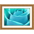 thumbnail image 2 of Stephen Chambers 18x13 Gold Ornate Wood Framed With Double Matting Wall Art Titled - Flower10, 2 of 6