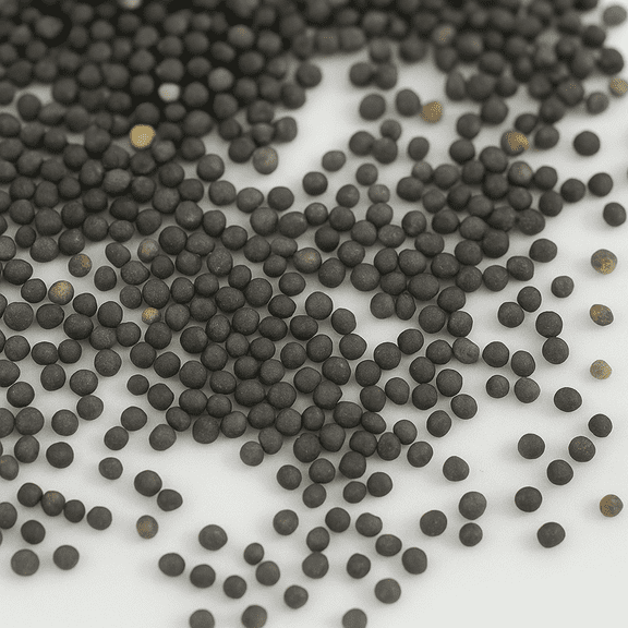 Dwarf Siberian Kale Microgreen Seed 30g ~847 Seeds – Non-GMO Brassica napus | Fast-Growing | Sweet Flavor | Cold Hardy | Year-Round Growing | Microgreens or Baby Greens | Indoor & Outdoor Garden Use