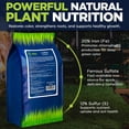 thumbnail image 3 of Supply Solutions IronMaxx Granular Fertilizer - All Purpose Plant Food with Iron and Sulfur, Slow Release Garden Fertilizer for Lawn, Vegetables, Flowers & Trees, Outdoor Plant Fertilizer (10 Pounds), 3 of 7