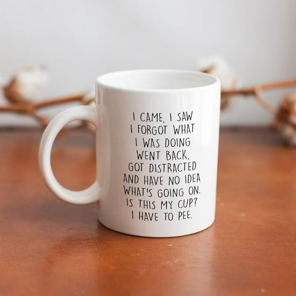 I Came I Saw I Forgot Mug, Funny Gifts for Senior Citizens, Sarcastic Birthday Gifts for Old People Elderly Grandpa Grandma Mom Dad Sister Brother Coworker, Sarcastic Coffee Mug 11oz