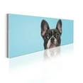 thumbnail image 1 of Animal Acrylic Glass Wall Art, French Bulldog Portrait with Innocent Looks on Blue Background Pet Love, Panoramic Decor Living Room Bedroom & Dorms, 47" x 16", Aqua and Dark Taupe, by Ambesonne, 1 of 1