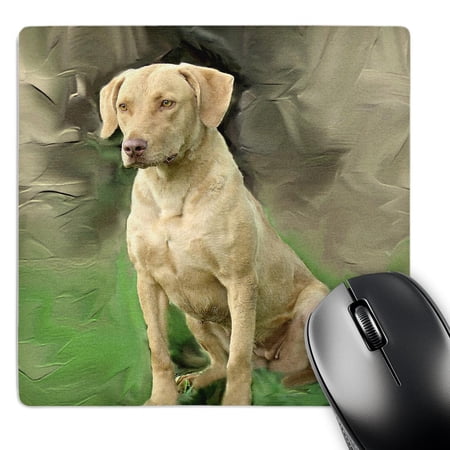 3dRose  Chesapeake Bay Retriever  MousePad price history on PriceWatchPro