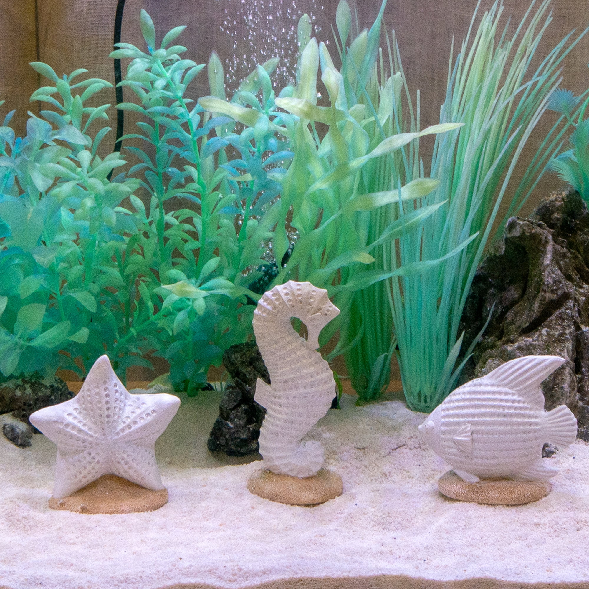Penn-Plax Coastal Collection Resin Aquarium Decor for Fish Tanks - Small Sized - Selection Will Vary
