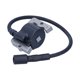 thumbnail image 3 of Bobina de encendido apta para Kohler 1258401-S / 1258404-S / 1258401- s 1258404-S 1258401, 3 of 5