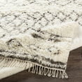thumbnail image 3 of BoutiqueRugs Lochwinnoch Bohemian, Transitional Area Rug - Beige, Gray, Taupe - 2' x 3', 3 of 10