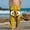 Yellow, variant on OGLCCG Beach Pants for Boys Funny Graphic Print Casual Summer Elastic Waist Vacation Pants with Pockets Wide Leg Loung Trousers 4-14 Years