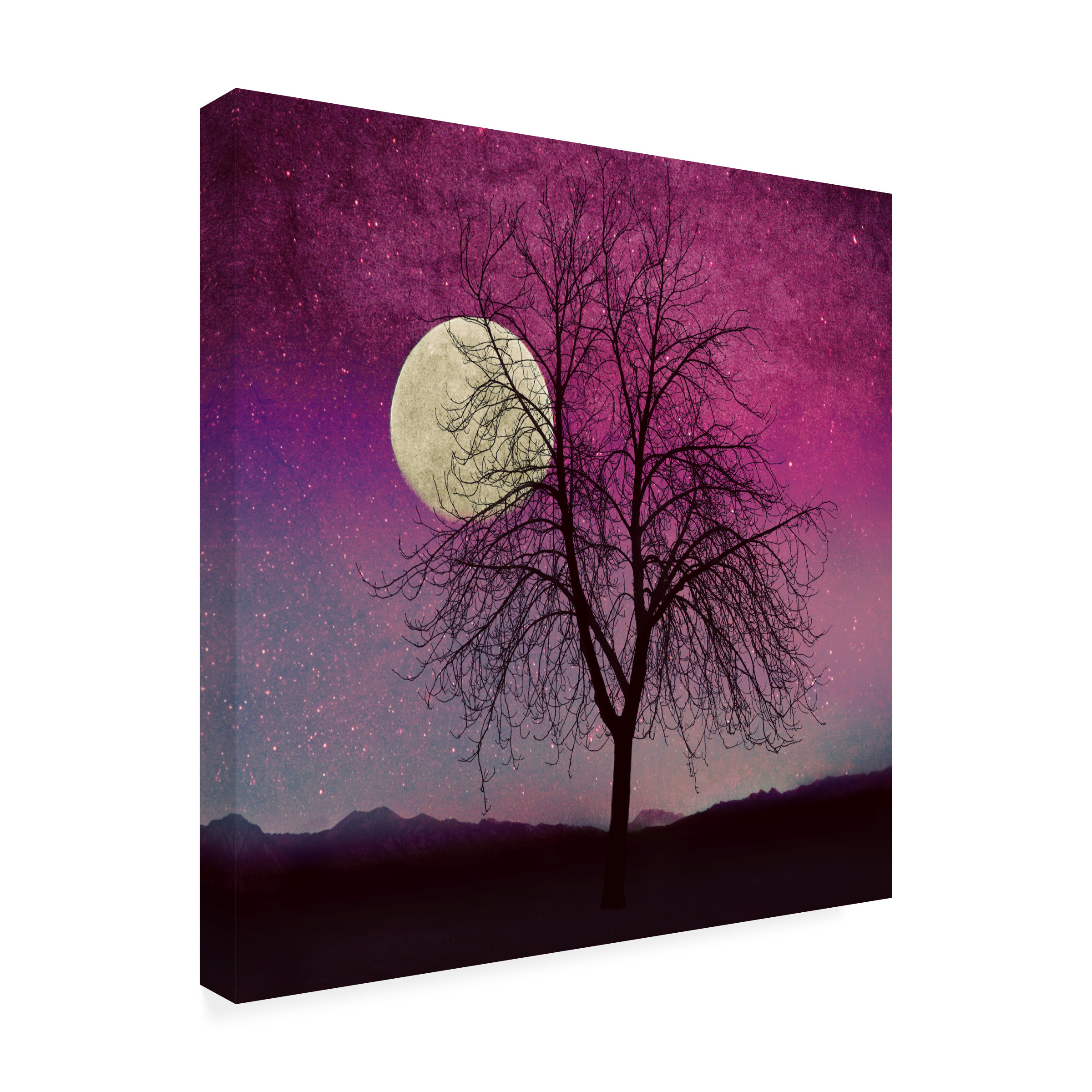 Trademark Fine Art 'Pink Twilight' Canvas Art by Tina Lavoie