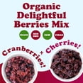 thumbnail image 4 of Organic Delightful Berries Mix, 0.5 Pounds - Non-GMO, Raw, Vegan - by Food to Live, 4 of 7