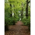 thumbnail image 2 of Frances, Stephanie 19x24 White Modern Wood Framed Museum Art Print Titled - Wood 3, 2 of 4