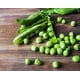 Organic Whole Dried Green Peas, 5 Pounds — Non-GMO, Raw, Sproutable, Kosher, Vegan — by Food to Live - image 7 of 7