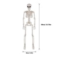 thumbnail image 3 of Halloween Posable Skeleton Decorations 90cm Life Size Human Skeleton Ornament with Movable Joints Hanging Skull Decor for Haunted House Yard Indoor Outdoor Halloween Party Decoration, 3 of 7