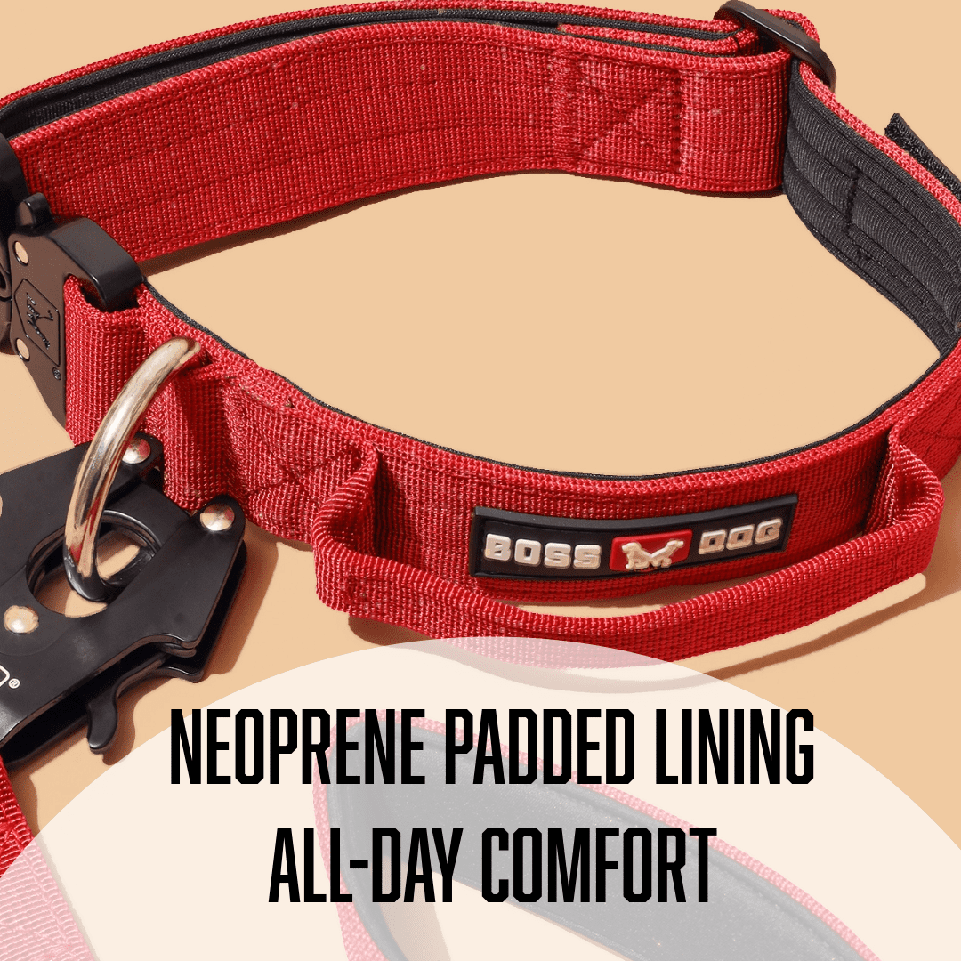 Boss Nation 850010391892 17-22 in. Dog Tactical Adjustable Dog Collar, Red - Large