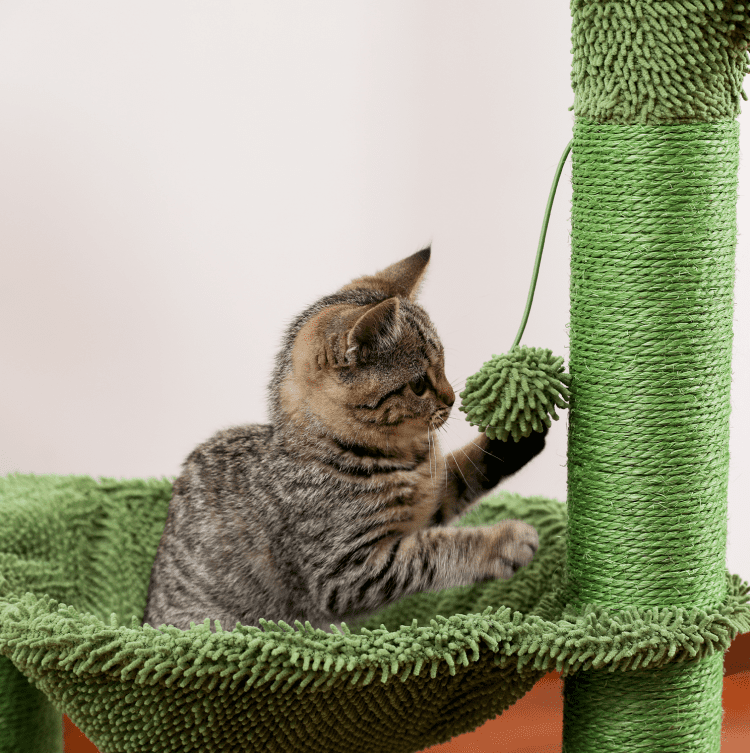 Amkui Cat Tree Cat Tower Durable Sisal-Covered Scratching Posts,Dangling Ball,Jumping Platform for Cats Play &Sleep,Pet House