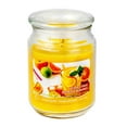 thumbnail image 1 of 18 Oz Parfumée Pot Avec Couvercle En Verre (Zesty Citrus) - Set of 2, 1 of 1