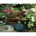 thumbnail image 1 of Aquascape 78208 Alligator Spitter With Pump, 1 of 1