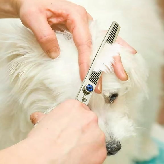 ETHYXE 7" Thinning Shears for Dogs & Ethyxe 7 Inch Curved Dog Grooming Scissors