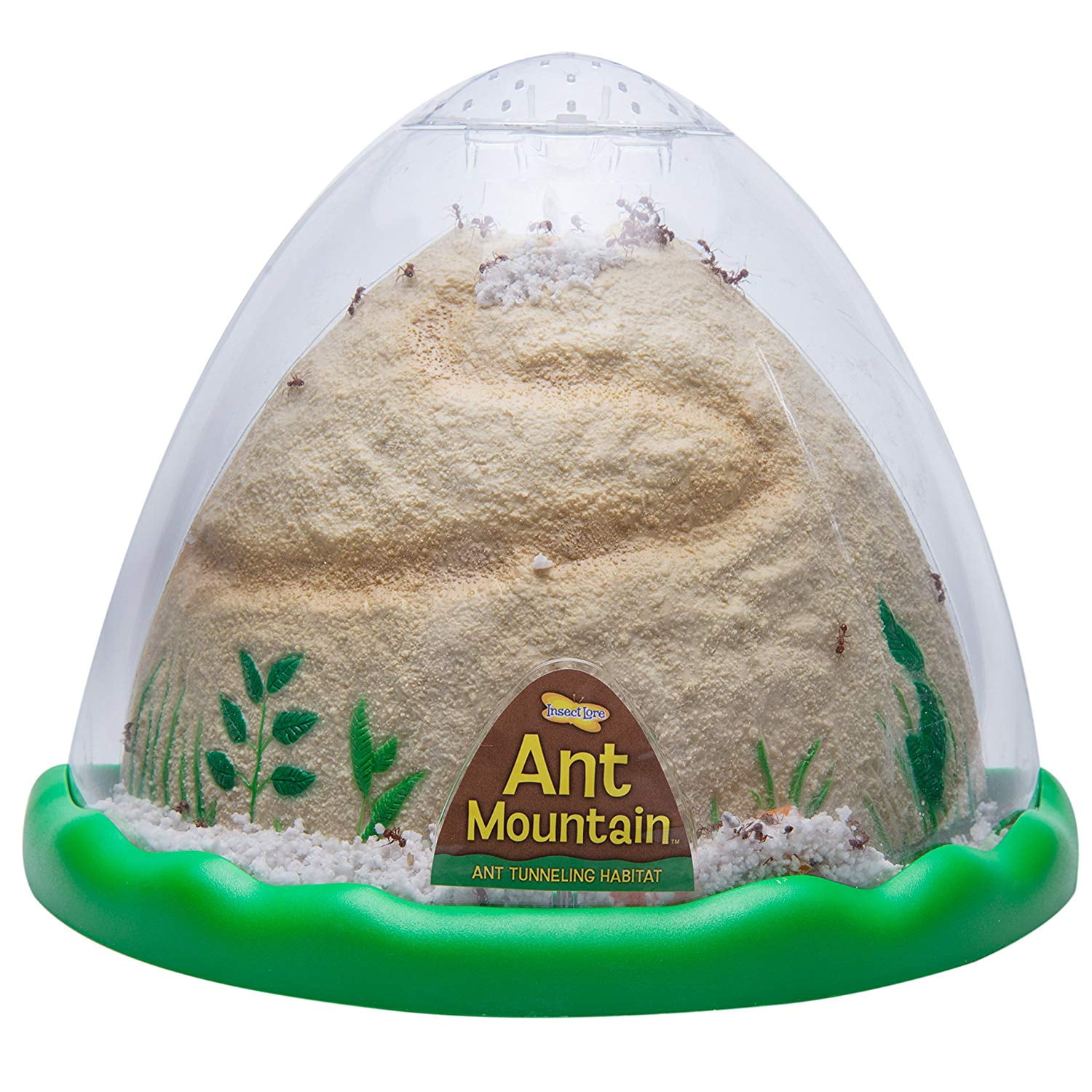 Includes Habitat Sand And Voucher for Live Ants Two Sided Ant Mountain Insect Lore Ant Farm