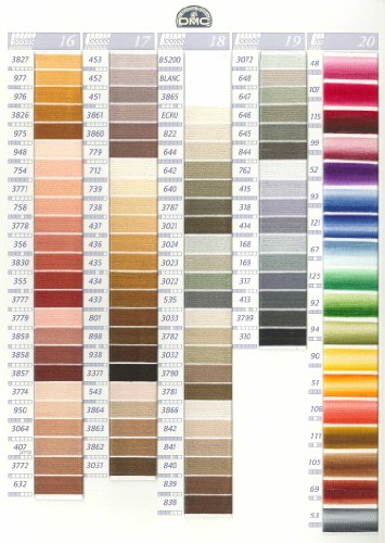 DMC Brown Cotton 6 Strand Floss 8m