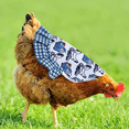 thumbnail image 4 of 4 Piezas Silla de Pollo Correas para Chaqueta de Pollo Delantal para Gallina Delantal para Pollo, 4 of 5