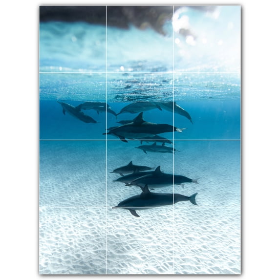 Picture-Tiles.com: Dolphin Ceramic Tile Wall Mural WAL500524-34S. 12.75"W x 17"H using (12) 4.25" x 4.25" Ceramic Tiles-Satin Finish
