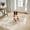 Beige, variant on Abstract 4x5 Area Rugs for Entryway: Modern Ultra Non Slip Washable Soft Carpet Foldable Stain Resistant Neutral Rugs for Living Room Bedroom Dining Room Decor Large Indoor Farmhouse Rug (Grey,4x5)