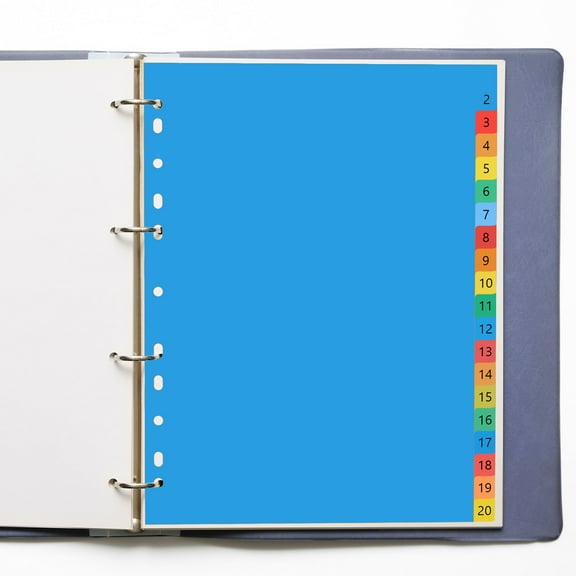 NICEXMAS Numbered Tab Dividers Plastic Assorted Color 20 Pages A4 Size