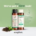thumbnail image 5 of Soapbox Tea Tree & Mint Scalp Balancing Shampoo to Cleanse & Restore, 16oz, 5 of 11