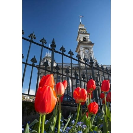 Octagon Wall Clock - Red Tulips & Municipal Chambers Clock Tower Octagon South Island New Zealand Stretched Canvas - David Wall DanitaDelimont (12 x 17)
