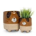 thumbnail image 2 of Jardinière pour Chien sur Pattes, 2 of 3