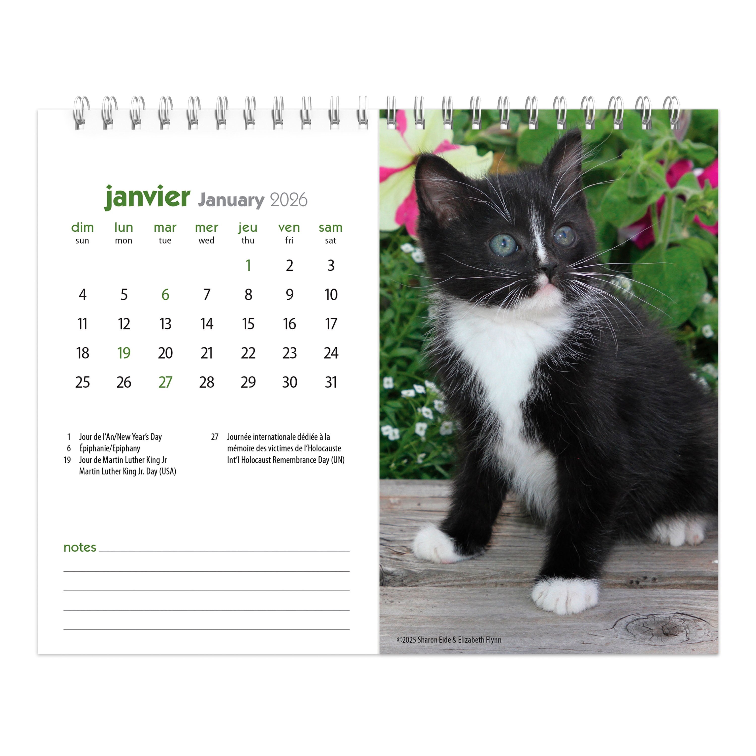 Chatons 2026 Double View Easel FRENCH BTCA