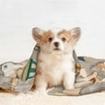 thumbnail image 4 of Pofeuu World Map With Animals Print Puppy Blanket,Dog Blankets,Pet Blanket Cozy Cat Blankets for Indoor Cats, Fuzzy Pet Blanket for Kitten Doggy Dog Blankets-Large, 4 of 8