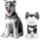 thumbnail image 3 of Cute Dog Bank, Husky Coin Bank Kids Toy Bank Doggy Puppy Piggy Bank 2025 hot, 3 of 5