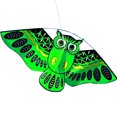thumbnail image 2 of BallsFHK 3D Owl Kite Toy Fun Outdoor Flying Activity Game Children With Tail, 2 of 2