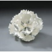 Cake Decoration Gum Paste Peony- Style 1