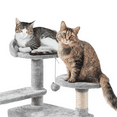 thumbnail image 5 of Alden Design 57" Double Condo Cat Tree with Scratching Post Tower, Light Gray, 5 of 10