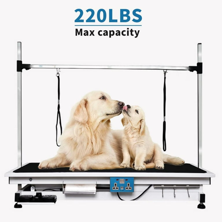 Large dog grooming table 2025