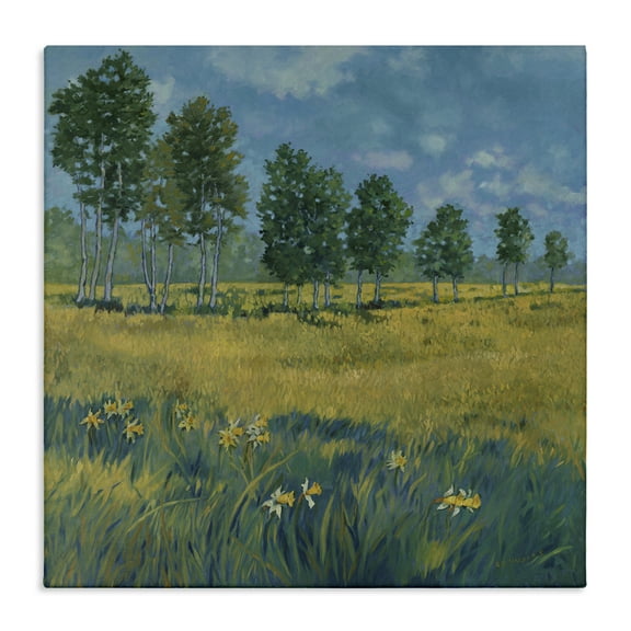 Stupell Industries Daffodil Field Landscape Landscape & Nature Painting Wrapped Canvas Art Print Wall Art, 17 x 17