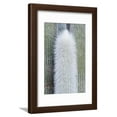 thumbnail image 1 of Old Man Cactus Cephalocereus Senilis Framed Print Wall Art by Rob Tilley Sold by Art.Com, 1 of 5