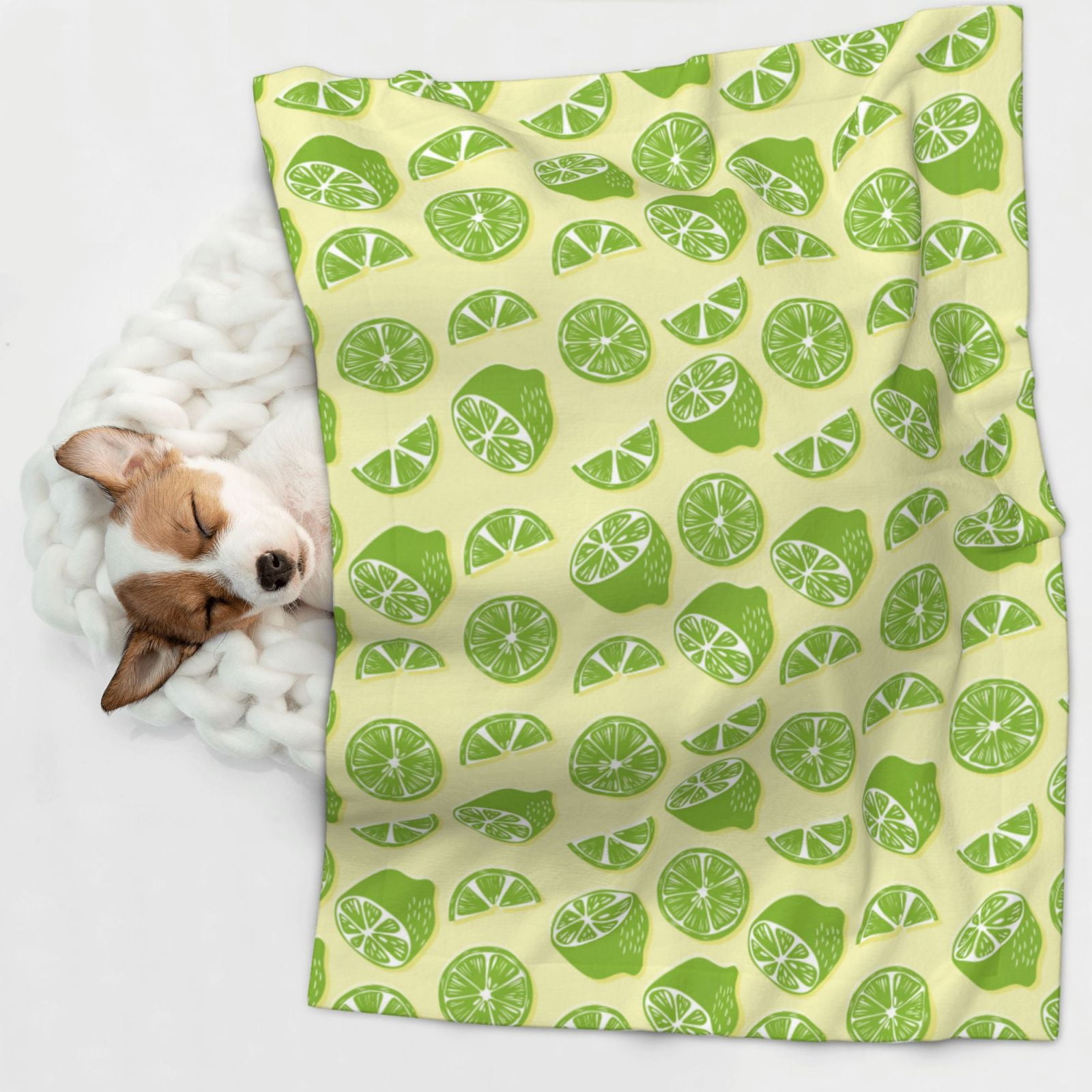 Naloa Various Lemons Dog Blanket, 3 Sizes Cat Blanket for Indoor Cats Large Medium Small Dog Gifts-Medium
