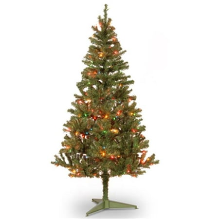 National Tree Pre-Lit 6' Canadian Grande Fir Wrapped Artificial Christmas Tree with 200 Multi