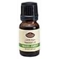 thumbnail image 3 of Basil 100% Pure, Undiluted Essential Oil Therapeutic Grade - 10 ml. Great for Aromatherapy!, 3 of 3