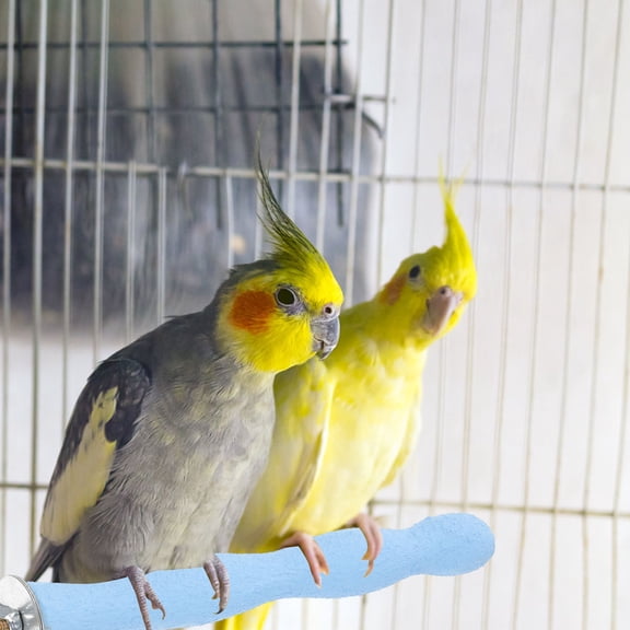 LOLIPPYY Assorted Color Bird Perch Made of Natural Wood for Cage Use Safe Chew Parrot Sand Perch