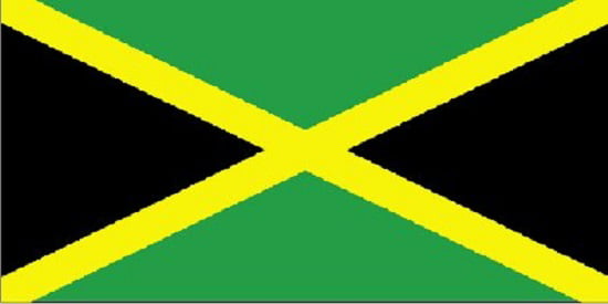 5 x 3 FT 100% Polyester National Country Caribbean Jamaica Flag