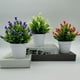 thumbnail image 3 of Matsuzay Bonsái de plantas artificiales, flores y plantas de imitación para interiores o exteriores, flores artificiales ecológicas Decoración blanco lechoso, 3 of 6
