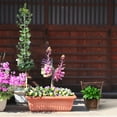 thumbnail image 4 of WEUVEB 1 Set Wooden Flower Pot Barrel Planter Small for Homeowners Garden Decoration, 4 of 6