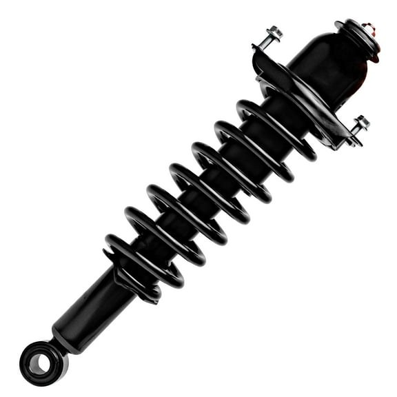 Detroit Axle - 1.8L Rear Left Strut for 2014-2019 Toyota Corolla, Driver Side Strut & Coil Spring Assembly 2015 2016 2017 2018 Replacement Suspension