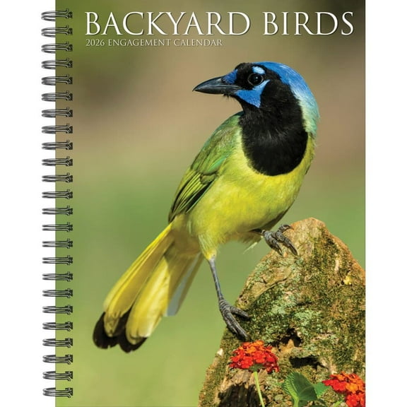Willow Creek Press, Backyard Birds 2026 Engagement Planner, 7'' X 8.66'', Weekly Calendar with Adhesive Binding